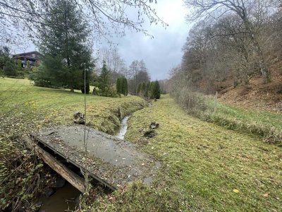 + Finnlandblockhaus am Waldrand +Traumlage + Panoramablick + 3.500 m² Grundstück