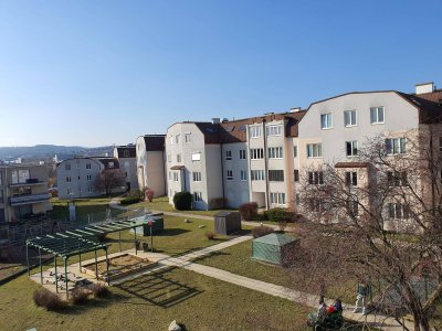 3-Zimmer-Wohnung, Top 3