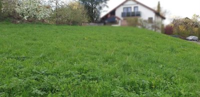 Neubau-Einfamilienhaus: Modernes Wohnen in ruhiger Anliegerstraße in RT-Sondelfingen