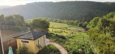 Idyllischer, sanierter Pferdehof mit 9 ha Weideland