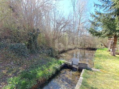 KLEINER WEIHER + BACHLAUF - VIEL PLATZ FÜR ALLE