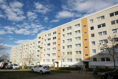 Große 3-Raum-Wohnung mit individueller Gestaltungsmöglichkeit – frisch saniert!