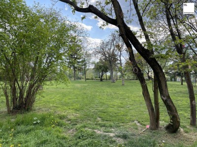 Beautiful and furnished 107 m² 4 room apartment with terracce for rent in 1210 Vienna located directly at the Obere Alte Donau!