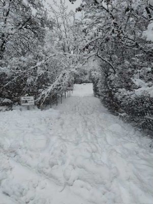 Stylische, (teil)möblierte Traumwohnung in grüner TOP-Lage Alterlangen