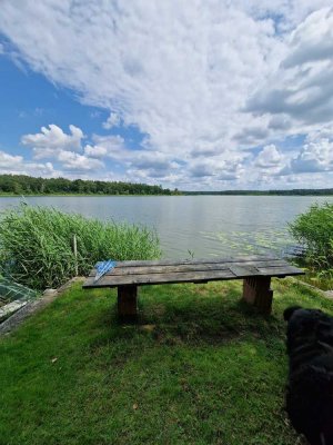 Ostseenähe - sofort Einzug - mit Tinyhaus im garten !!