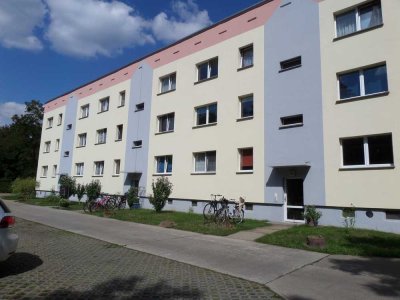 ** Wohnen im Grünen - helle 2-Raum-Wohnung mit Balkon **