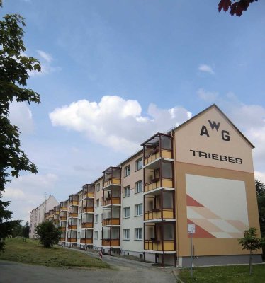 1-Raum-Wohnung mit Blick ins Grüne