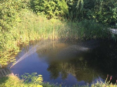Holzblockhaus in Bad Erlach mit Schwimmteich und Garten mit Gartenhaus Idylle pur