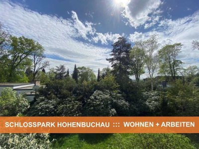 WOHNEN und ARBEITEN VERBINDEN   :::   SCHLOSSPARK HOHENBUCHAU in SCHLANGENBAD / GEORGENBORN
