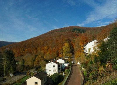 Helle 3-Zimmer-Eigentumswohnung 
mit Panoramablick in Neckarsteinach