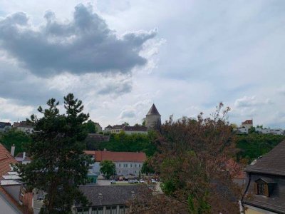 PERFEKT GEPLANTES STADTHAUS