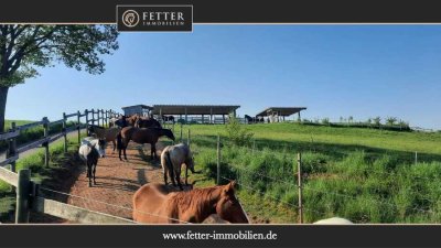 Reitanlage in Rheinland-Pfalz – moderner Aktivstall im Donnersbergkreis!