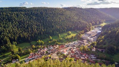 Im Dorfzentrum: Schöne 2-Zimmer-Wohnung mit Balkon in Bad Teinach