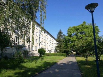 Renovierte 3-Raumwohnung mit Blick auf die Sachsendorfer Wiesen