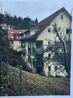 Attraktive und gepflegte 2-Raum-Wohnung mit Balkon und Einbauküche in Altensteig