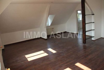 3-Raum Wohnung stylische Wohnung mit Charme und Stadtparkblick in Limbach-Oberfrohna