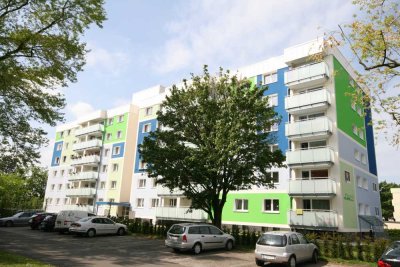 1-Zimmer Wohnung in Blankenhagen