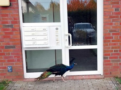 Tierpark vor der Tür, schönes Wohnen im Erdgeschoss mit Terrasse