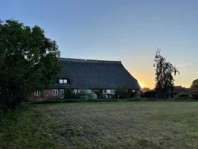Idyllisch gelegene 3-Zimmer Wohnung in  reetgedeckten Bauernhaus vor den Toren Lübecks in Thandorf