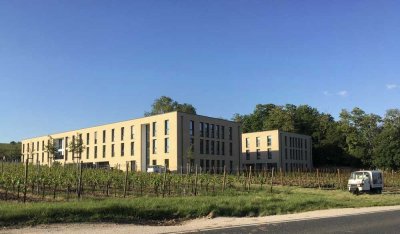 Studentenwohnheim direkt neben der EBS-Universität: Zimmer in Wohnheim von privat