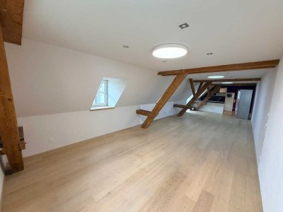 Traumhafte Dachterrassen-Wohnung mit gehobener Ausstattung