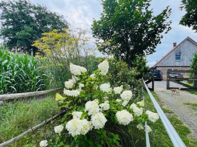 Hochwertige Alleinlage im Grünen. Platz für Ihre Ideen - von Familienidyll bis Pferdehof mit Weide