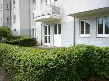 1-Zimmer-Wohnung mit Balkon, TG Stellplatz  in Leipzig
