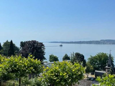 EXTRAVAGANTER WOHNTRAUM MIT SENSATIONELLEM SEEBLICK
