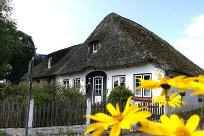 Charmantes Reetdachhaus in Stapel zu verkaufen
