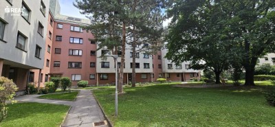charmante, renovierte, helle, zentral gelegene 3 Zimmer-Lifteigentumswohnung! Open House: Freitag, den 17.10.2025 13 - 14:30 Uhr Terminreservierung erwünscht!!!!
