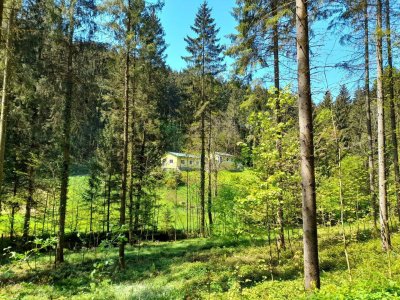KRAFTPLATZ - Exklusives Landhaus auf weitläufigem Grundstück umgeben von Wald und Klammbach