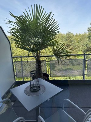 Traumhafte DT Wohnung (SW-Lage) mit Blick ins Grüne am Messepark (Riem)