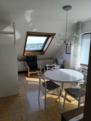 1- Zimmer-Appartement kpl. möbliert, wo Weilimdorf am schönsten ist
