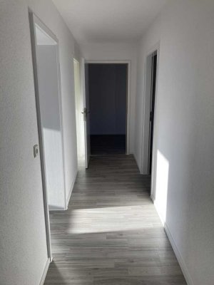 3 Zimmer Wohnung in Salzgitter-Bad