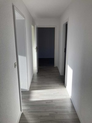 renovierte 3 Zimmer Wohnung mit Garten
