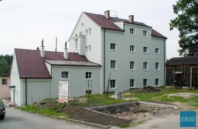 1-Zimmerwohnung im 1.OG