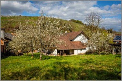 Ein- bis Zweifamilienhaus mit massivem Öko-Anbau - Ausbauoption plus extra Grundstück!
