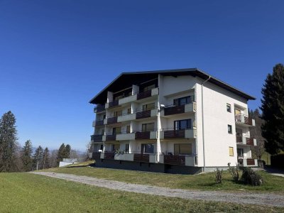 1-Zimmer-Appartement in ruhiger Berglage