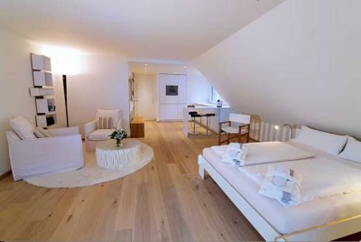 Hochwertig eingerichtetes, möbliertes  1-Zimmer Apartment unter dem Dach mit kleinem Balkon