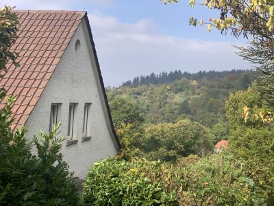 Familienfreundliches Einfamilienhaus in Heidelberg Handschuhsheim in exklusiver Lage