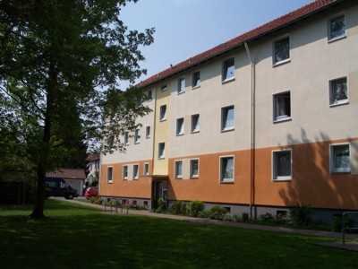 + 3 Zimmer frisch renoviert +