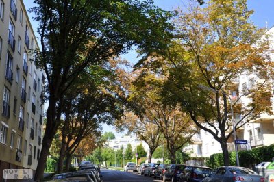 NÄHE HOHE WARTE - HELLE UND RUHIGE WOHNUNG MIT GARTENNUTZUNG
