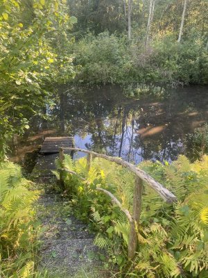 Haus am Wasser mit Blick auf den Wald - idyllisch wie im Märchen - befristet auf 2 - 4 Jahre