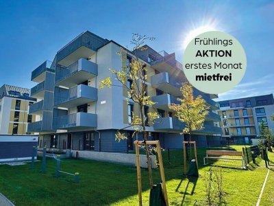 1 Monat Mietzinsfrei: Erstbezug im Grünen Nahe der U2 - zwischen Badeteich Hirschstetten &amp; Seestadt