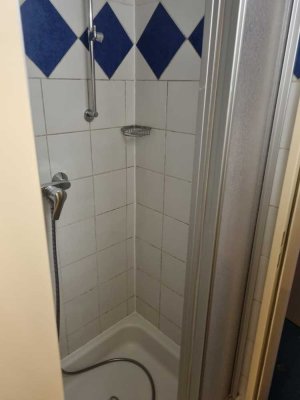 1-Zimmer-Wohnung in Ringelai