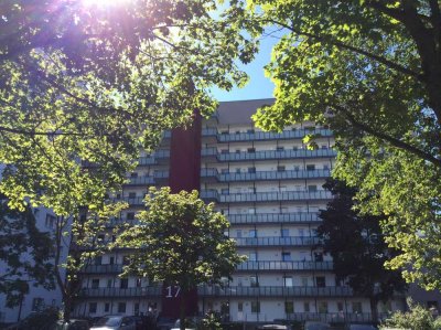 Neue Wohnung, neues Glück! Praktisches 1-Zi.-Single-Appartment