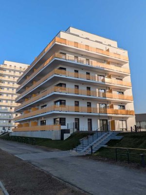 Erstbezug am Friedenspark/nahe UKL: hochwertige EBK &  West-Balkon