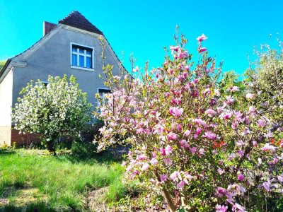 Handwerkerobjekt - sanierungsbedürftiges EFH mit viel Potenzial und großem Grundstück