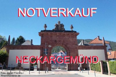 NOTVERKAUF ! Heidelberg- Neckargemünd , Mehr.Fam. Haus