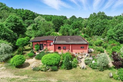 Grünes Paradies mit Charme - Einfamilienhaus mit weitläufigem Traumgarten